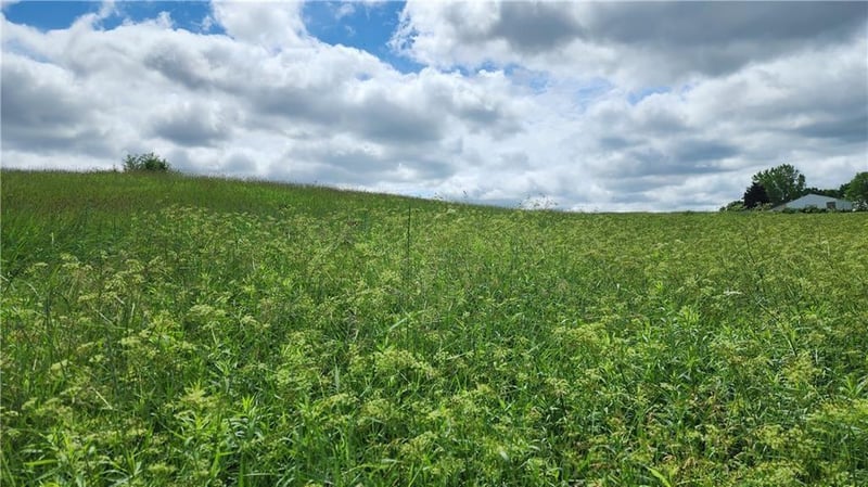 Lot 10 270th St, Boyceville, WI 54725
