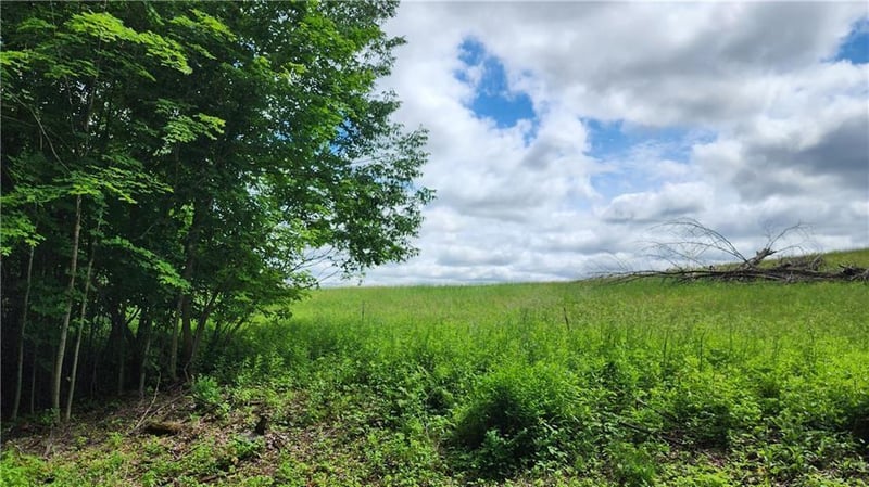 Lot 10 270th St, Boyceville, WI 54725