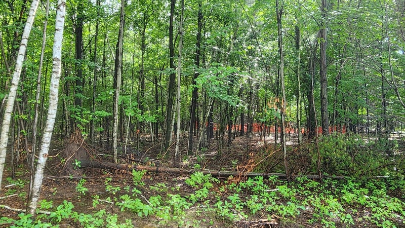 Lot 1 County Road M, Elk Mound, WI 54739