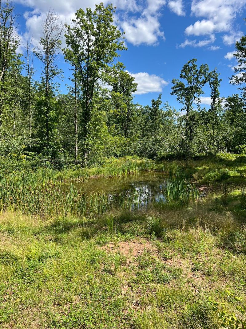 XXX Pete Anderson Rd, Sandstone, MN 55072