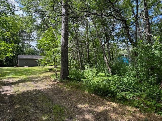 28257 Pinetree Ave, Sebeka, MN 56477