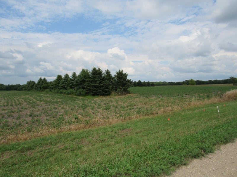 xxx 95th St, Blue Earth, MN 56013