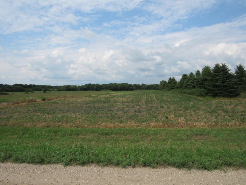 xxx 95th St, Blue Earth, MN 56013