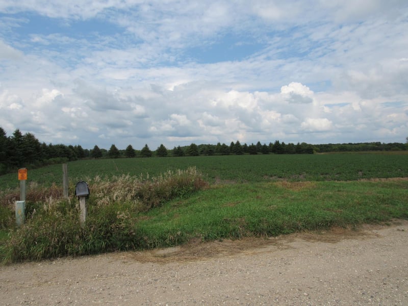 xxx 95th St, Blue Earth, MN 56013