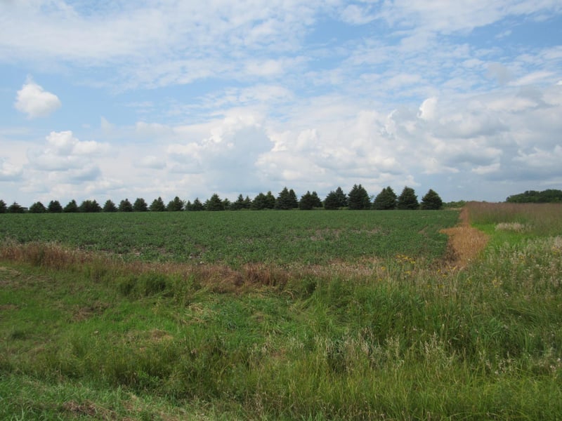 xxx 95th St, Blue Earth, MN 56013