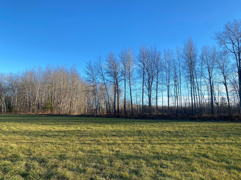 204X Cty Rd 142, Mahtowa, MN 55707