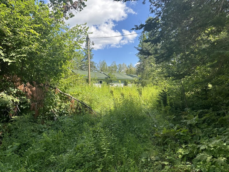 59164 240th Ave, Jacobson, MN 55752