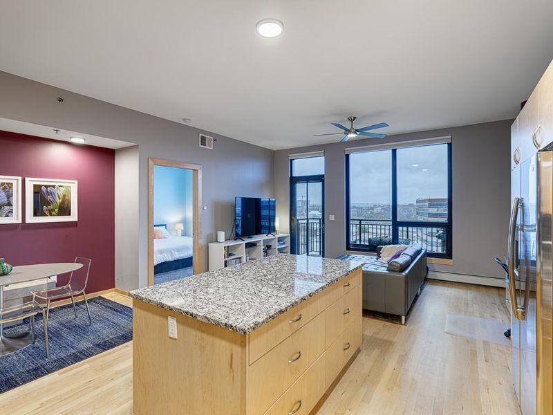 1240 S 2nd St #711, Minneapolis, MN 55415