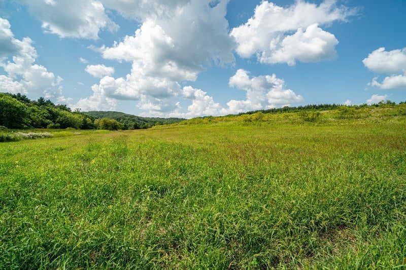 Lot 1 Eimon Rd, Osseo, WI 54758