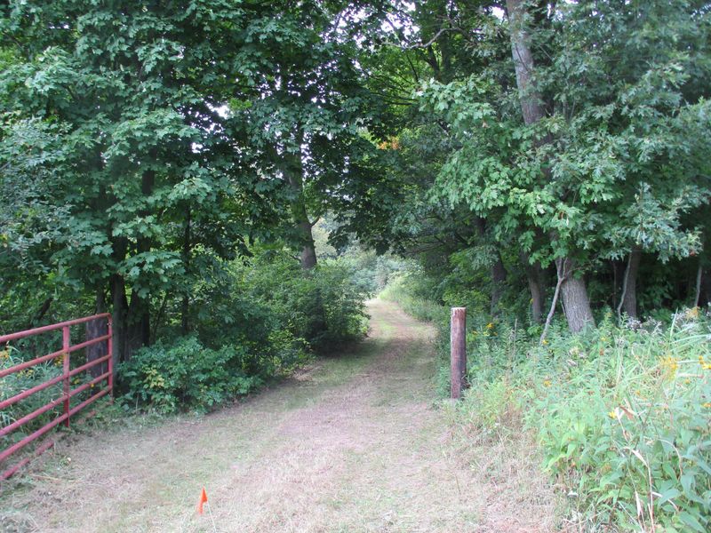 XXX 190th St, Eureka Twp, WI 54824