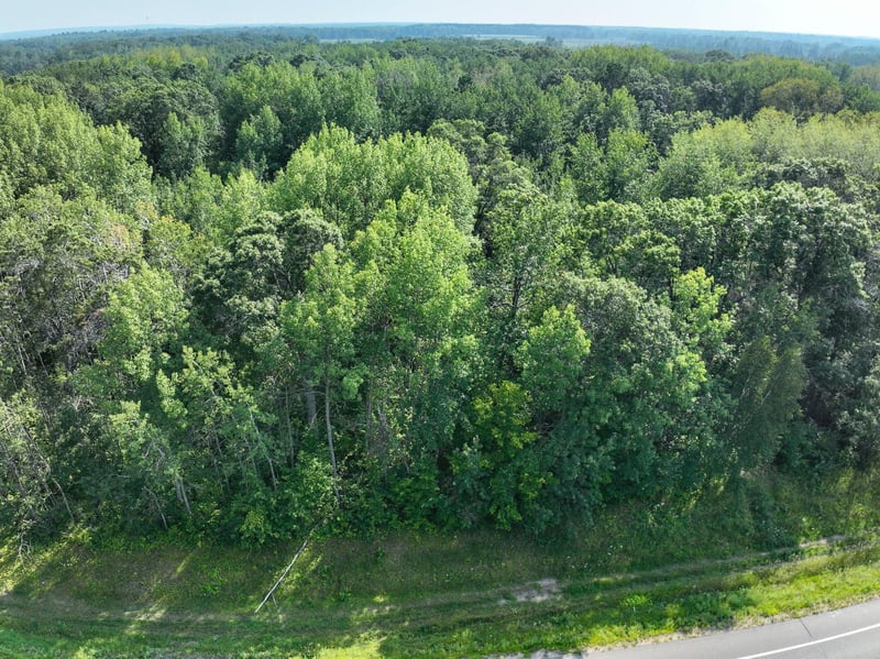 XXX County Road 15, Jenkins, MN 56474
