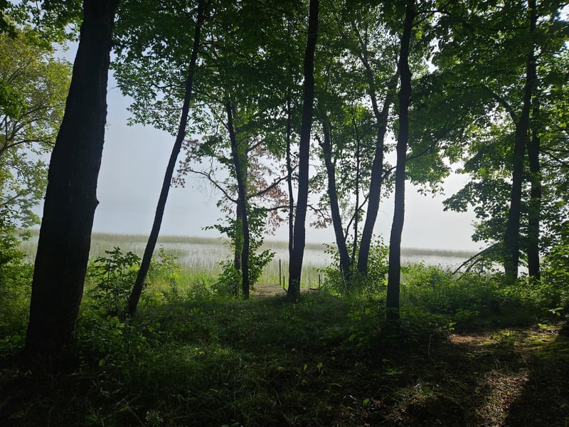 36441 County Highway 34, Ogema, MN 56569