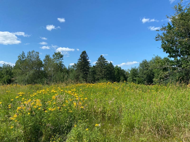 Lot 7 Jon Brown Dr, Moose Lake, MN 55767