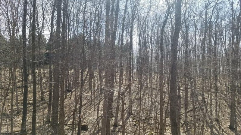 XXX 7 7 1/4 Ave, Hillsdale, WI 54733