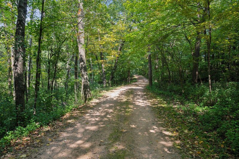1520 Tanglewood Rd, Long Lake, MN 55356