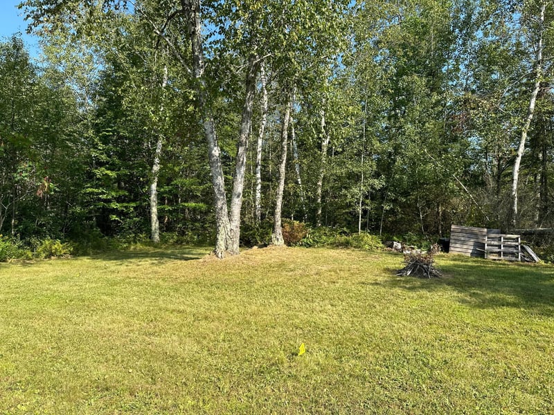 6931 N Pike Haven Rd, Winter, WI 54896