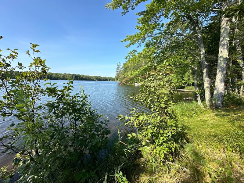 6931 N Pike Haven Rd, Winter, WI 54896