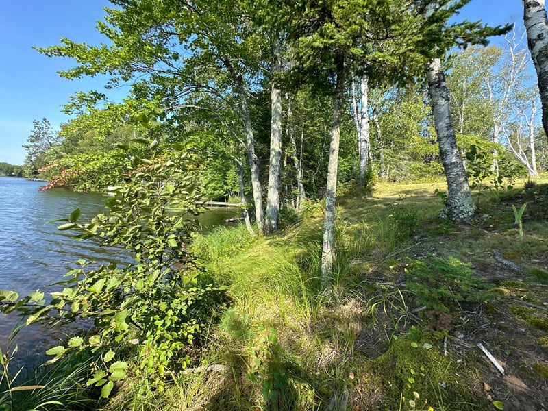 6931 N Pike Haven Rd, Winter, WI 54896