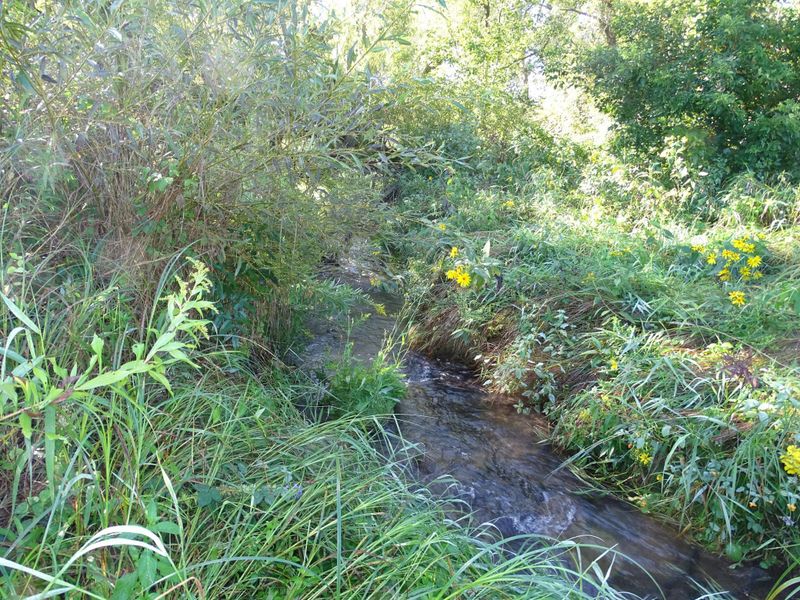 000 County Road N, Pepin, WI 54759