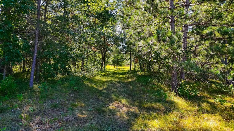 TBD Paris Rd, Baxter, MN 56425