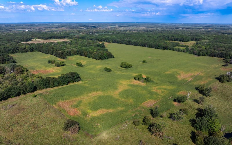 14962 County 14, Eagle Bend, MN 56446