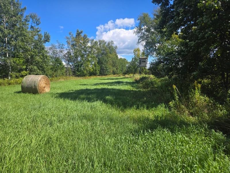 38193 Skyview Rd, Hillman, MN 56338