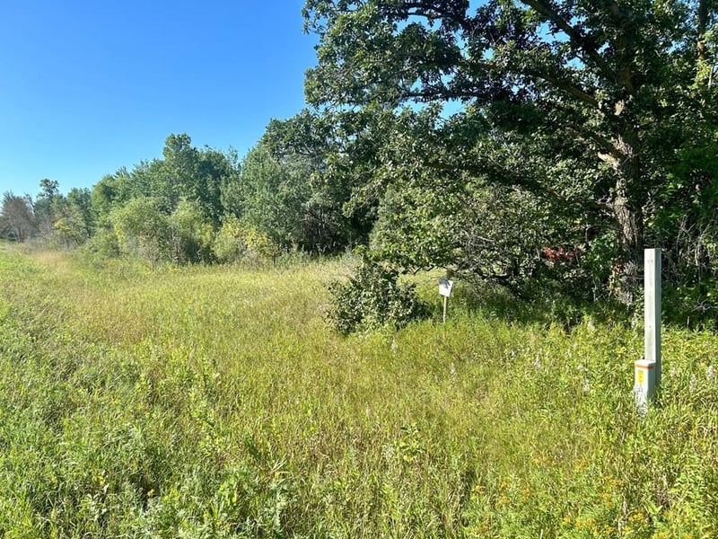 xxxx 580th Ave, Deer Creek, MN 56527