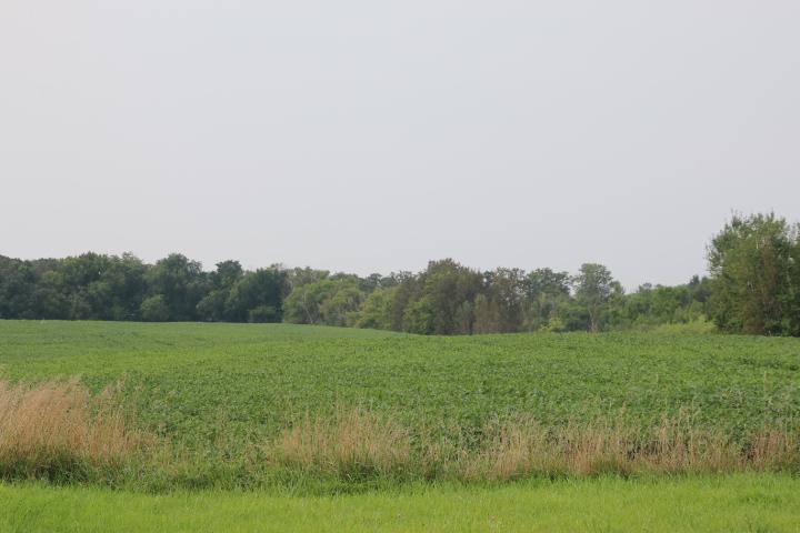 00005 County Rd 14 Ne, Eagle Bend, MN 56446