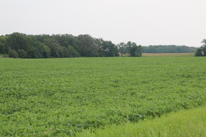 00005 County Rd 14 Ne, Eagle Bend, MN 56446