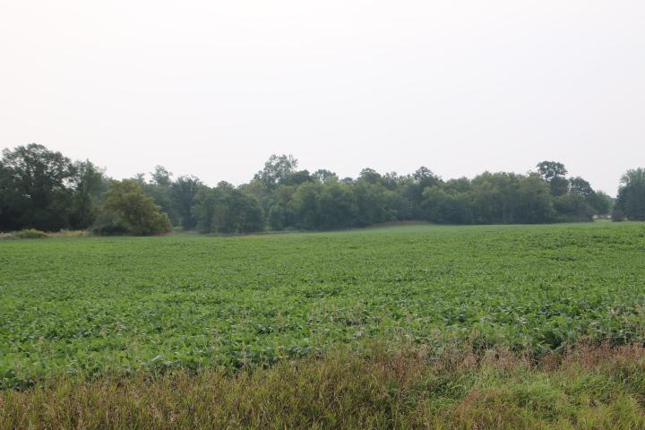 00005 County Rd 14 Ne, Eagle Bend, MN 56446