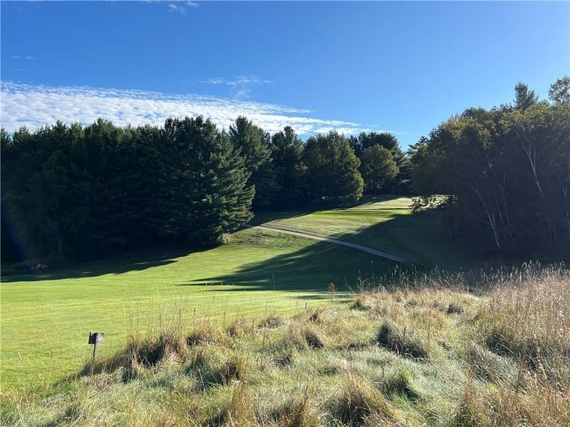Lot 4 Soholt Rd, Sarona, WI 54870