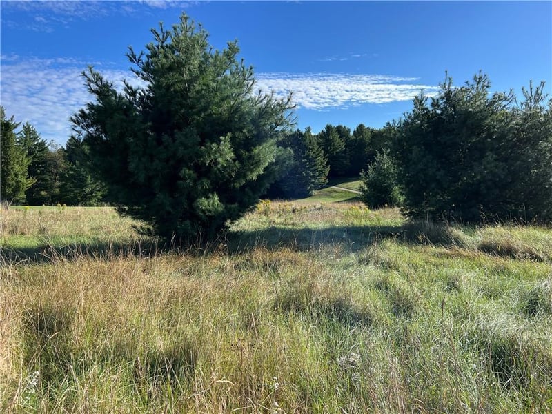 Lot 4 Soholt Rd, Sarona, WI 54870