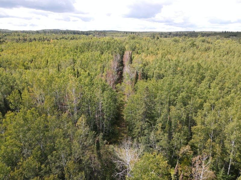 tbd State Hwy 1, Togo, MN 55723