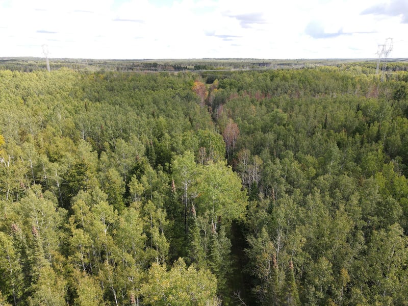 tbd State Hwy 1, Togo, MN 55723