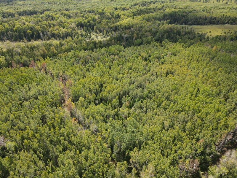 tbd State Hwy 1, Togo, MN 55723