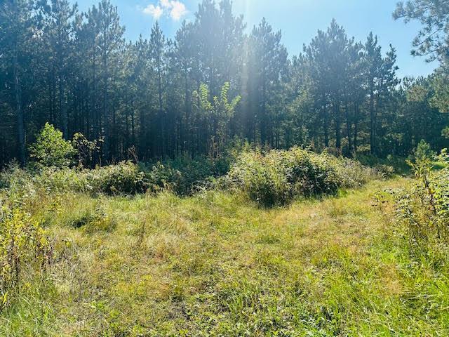 3238 Staghorn Dr, Fort Ripley, MN 56449