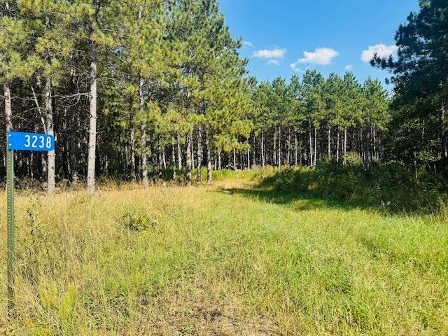3238 Staghorn Dr, Fort Ripley, MN 56449