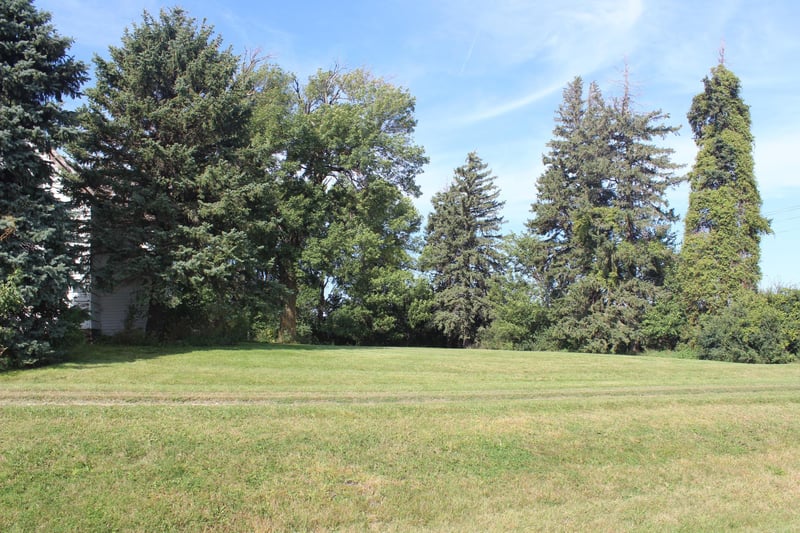 52030 65th St, Bricelyn, MN 56014