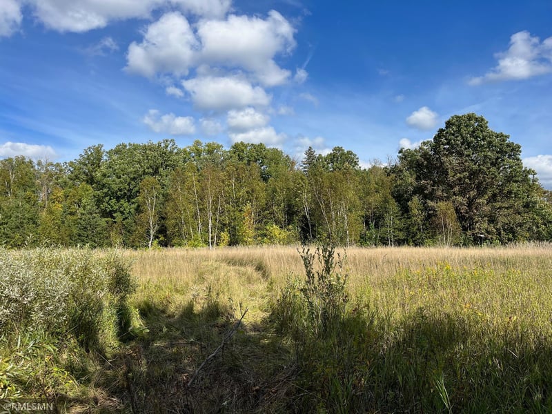 190052701 480th St, Palisade, MN 56469