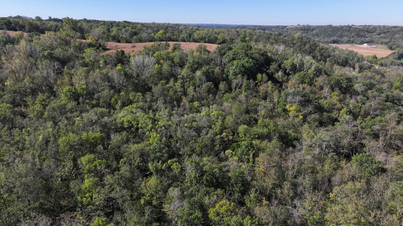 26850 Mount Hill Rd, Welch, MN 55089