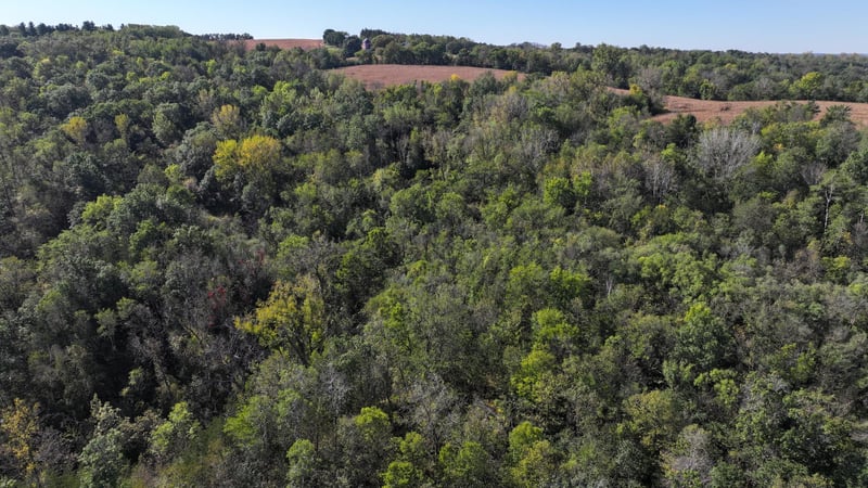 26850 Mount Hill Rd, Welch, MN 55089