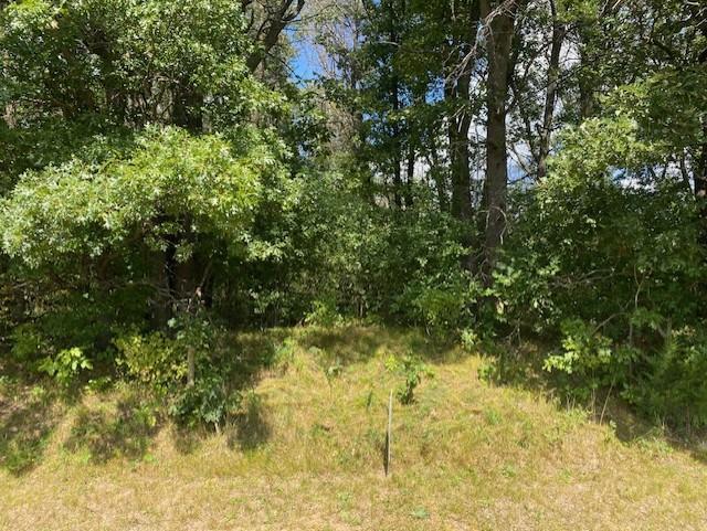 XXX 224th Ave NW, Big Lake, MN 55309