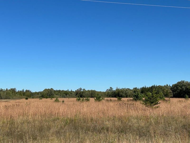 TBD Co 26, Ponsford, MN 56575