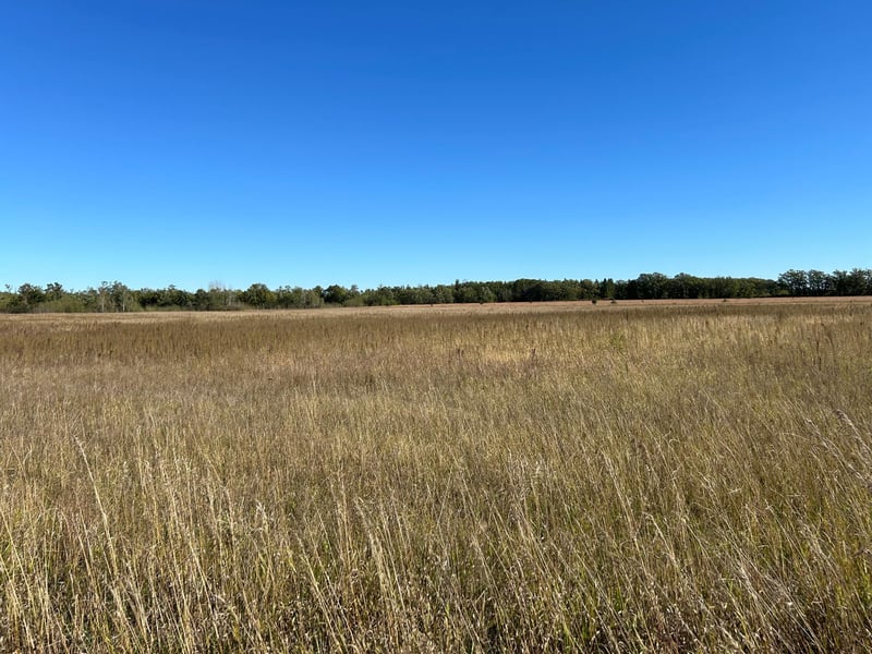 TBD Co 26, Ponsford, MN 56575