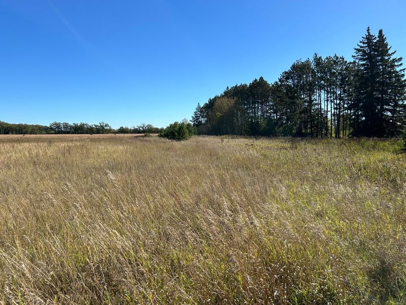 TBD Co 26, Ponsford, MN 56575