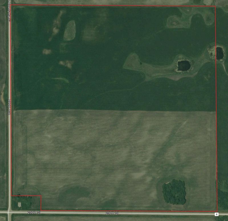 840th Avenue 290th St, Beardsley, MN 56211