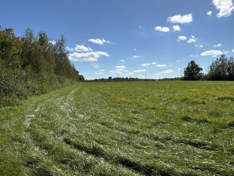 7XXX W County Road I, Conrath, WI 54731