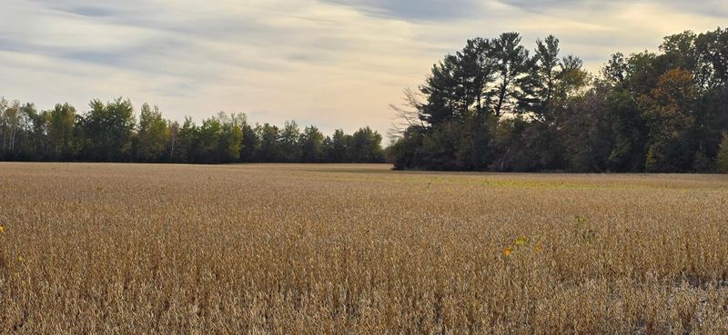 xxx E Highway 23, Ogilvie, MN 56358