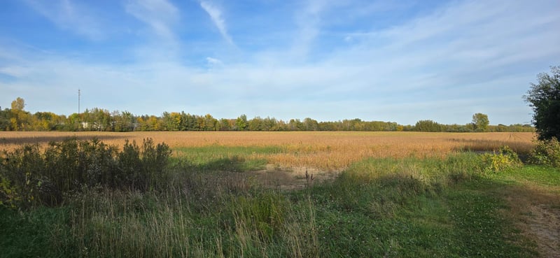 XXX E Olive St, Ogilvie, MN 56358