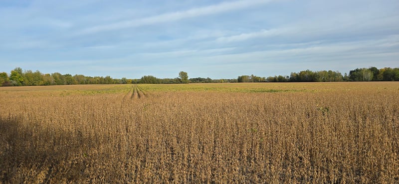 XXX E Olive St, Ogilvie, MN 56358